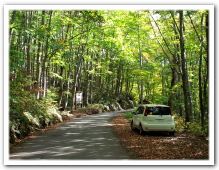 寒河江に抜ける道路の途中にぶなの原生林があります。新緑や紅葉がとても綺麗で、包み込まれる感じです。(車で１０分)