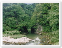 約一万年前の最後の噴火で、形成されたトロイデ型の小火口とも言われ、肘折の景勝地の一つです。また、大蛇の伝説も継承されています。(徒歩10分)